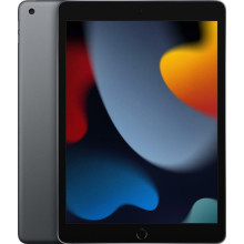 Планшет Apple A2602 iPad 10.2 (2021) Wi-Fi 64GB Space Gray (MK2K3RK/A)