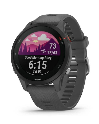 Смарт-годинник Garmin Forerunner 255 Slate (010-02641-43)
