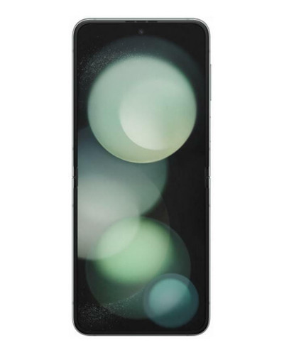 Смартфон Samsung Galaxy Flip5 SM-F731 256GB Dual Sim Mint (SM-F731BLGGSEK)