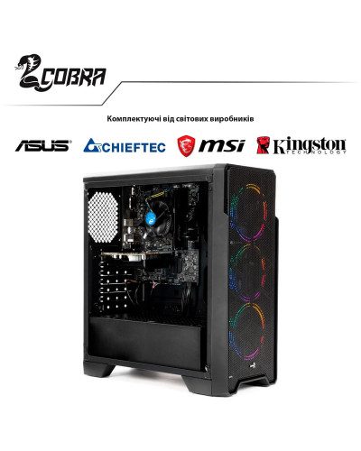 Персональный компьютер COBRA Advanced (I64.16.H1S1.165.528)