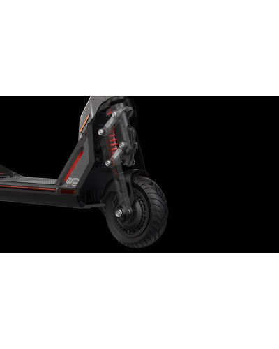 Электросамокат Segway Ninebot GT2P (AA.00.0012.65)