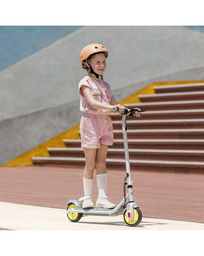 Электросамокат Segway Ninebot C8 (AA.00.0011.61)