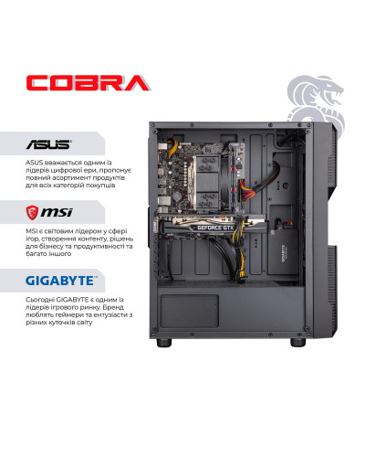 Персональний комп`ютер COBRA Advanced (A36.16.S4.166S.17505)