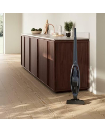 Акумуляторний пилосос Electrolux ES31C183DB