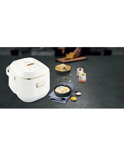Мультиварка Tefal Mini Multicooker RK601134