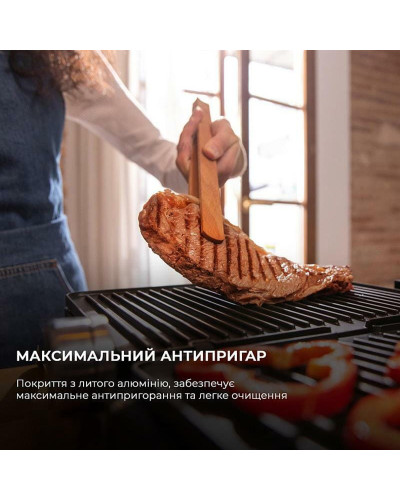 Гриль Cecotec Rock`nGrill Dual (CCTC-03099)