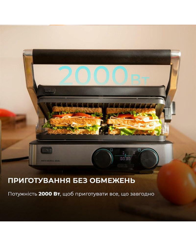 Гриль Cecotec Rock`nGrill Dual (CCTC-03099)