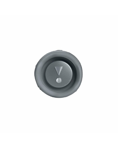 Акустическая система JBL Flip 6 Grey (JBLFLIP6GREY)