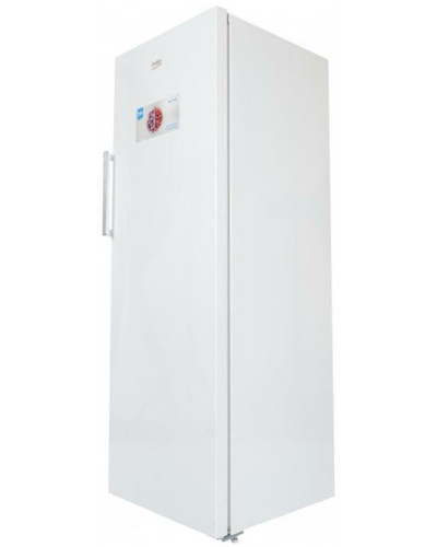 Морозильна камера Beko RFNE290L21W