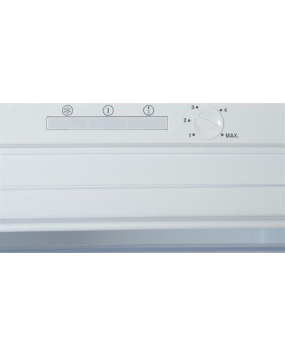 Морозильна камера Beko RFNE290L21W