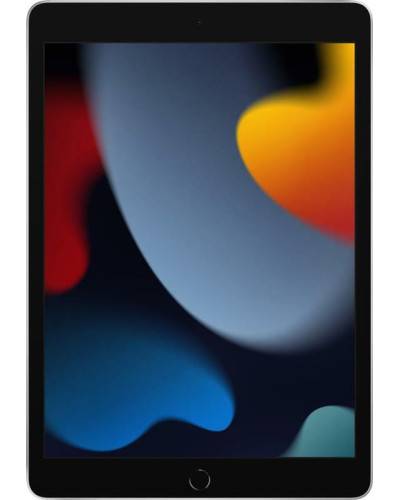 Планшет Apple A2602 iPad 10.2 (2021) Wi-Fi 64GB Silver (MK2L3RK/A)