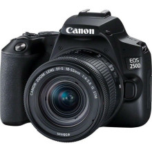 Цифрова дзеркальна фотокамера Canon EOS 250D kit 18-55 IS STM Black (3454C007)